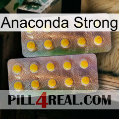 Anaconda Strong new10
